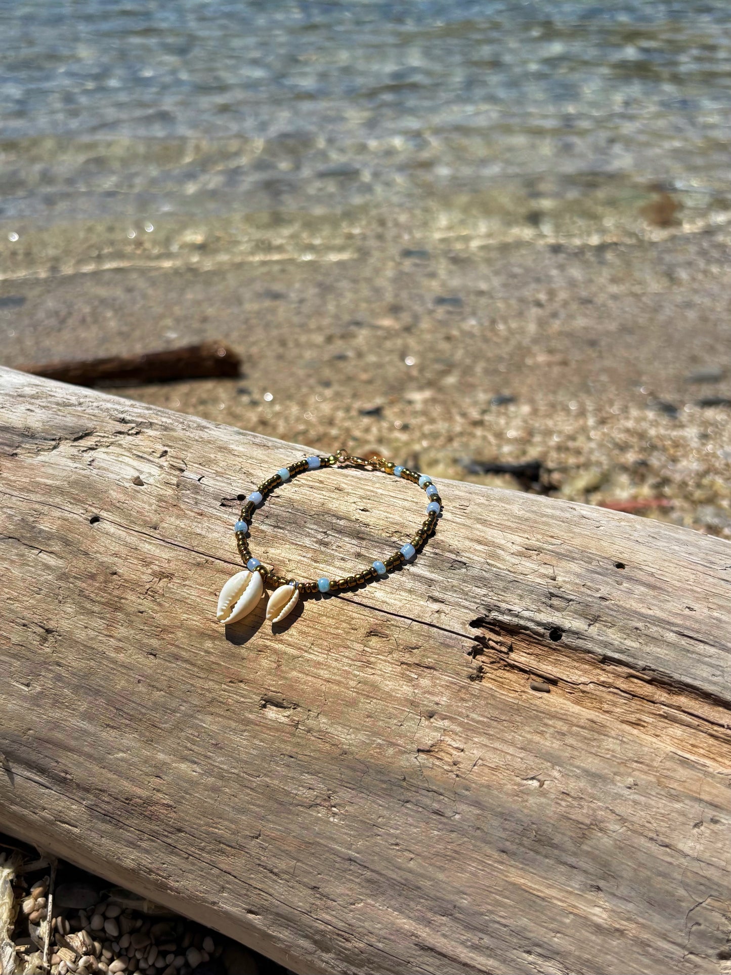 Bracelet Cauris