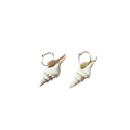 turridae