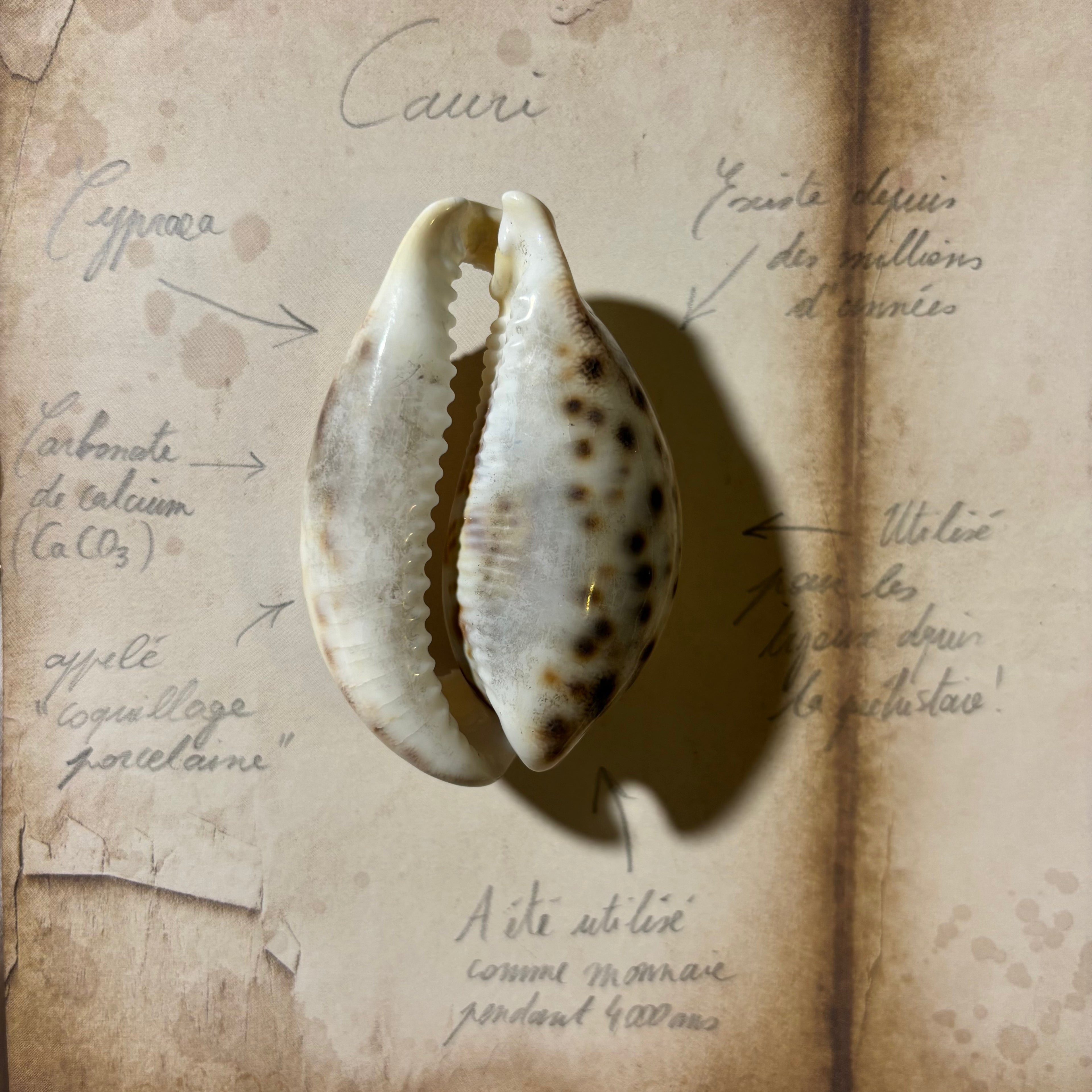 agate