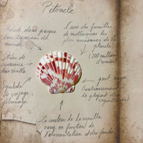 baïne